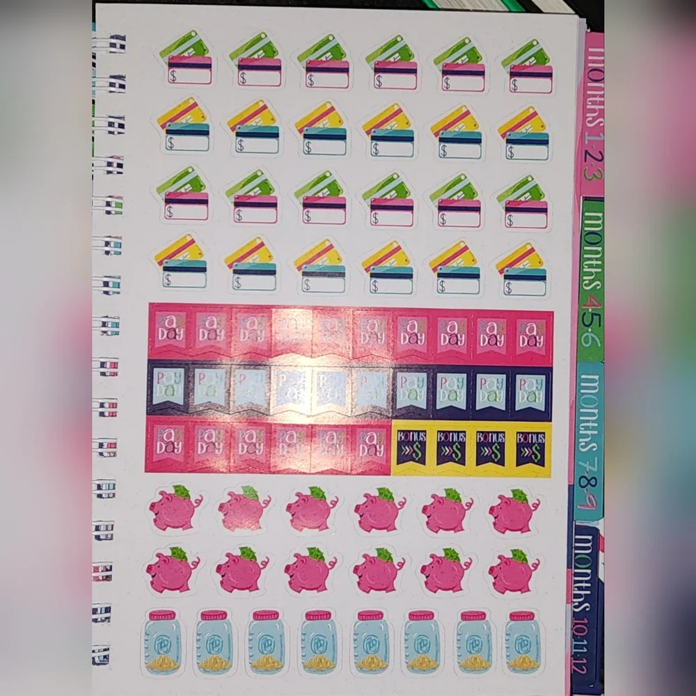 Budget Organizer - Pink, Blue, Green